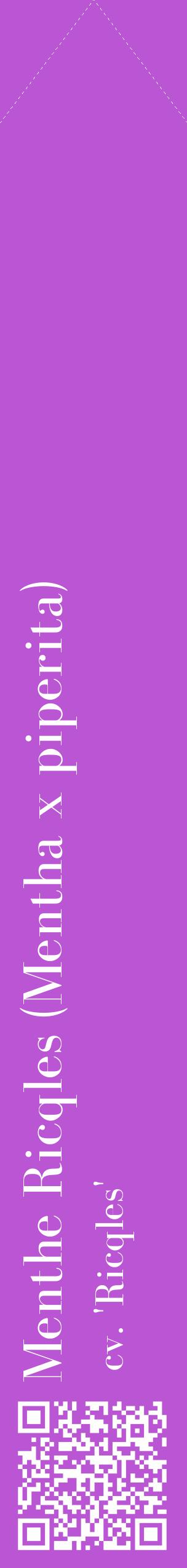 Étiquette de : Mentha x piperita cv. 'Ricqles' - format c - style blanche50_simplebod avec qrcode et comestibilité