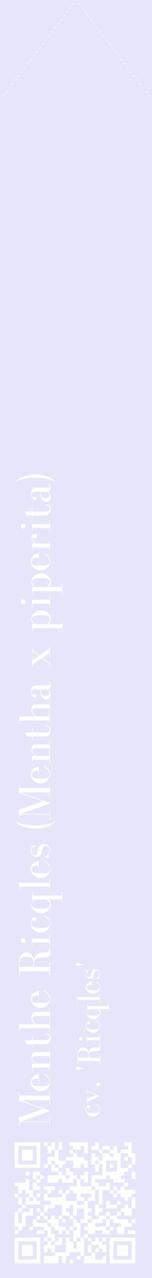 Étiquette de : Mentha x piperita cv. 'Ricqles' - format c - style blanche55_simplebod avec qrcode et comestibilité