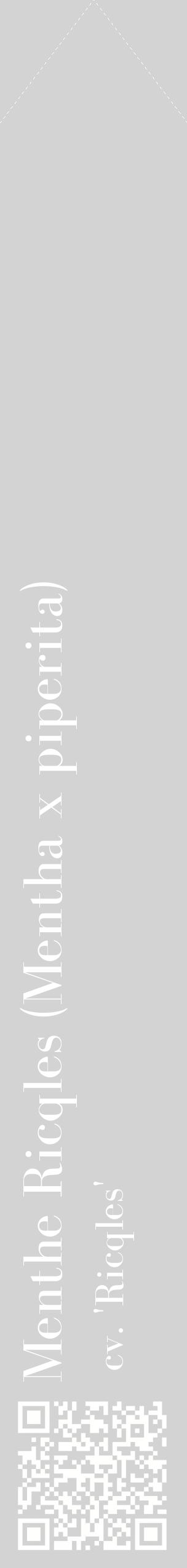 Étiquette de : Mentha x piperita cv. 'Ricqles' - format c - style blanche56_simplebod avec qrcode et comestibilité