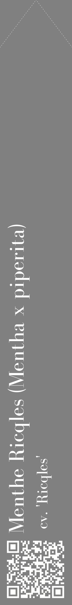 Étiquette de : Mentha x piperita cv. 'Ricqles' - format c - style blanche57_simplebod avec qrcode et comestibilité