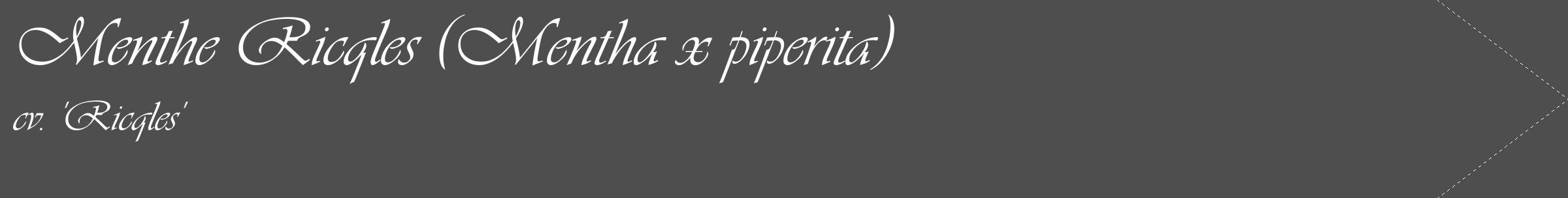 Étiquette de : Mentha x piperita cv. 'Ricqles' - format c - style blanche33_simple_simpleviv avec comestibilité