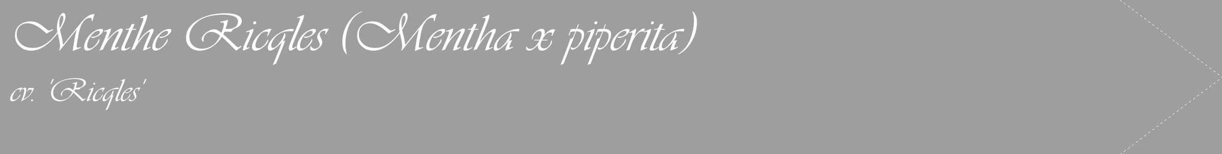 Étiquette de : Mentha x piperita cv. 'Ricqles' - format c - style blanche42_simple_simpleviv avec comestibilité