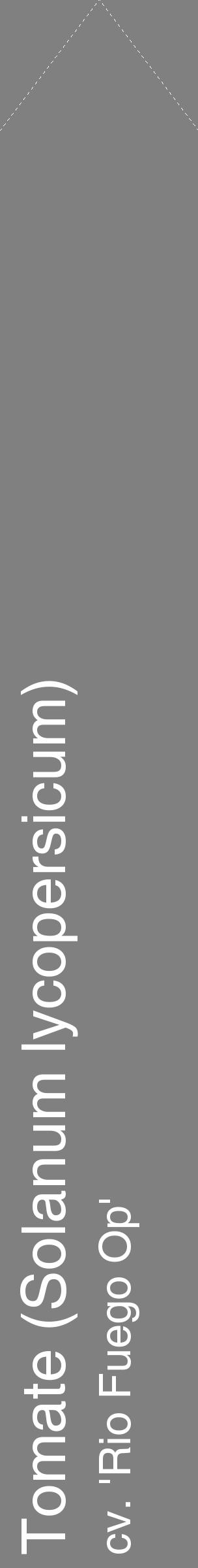 Étiquette de : Solanum lycopersicum cv. 'Rio Fuego Op' - format c - style blanche57_simplehel avec comestibilité