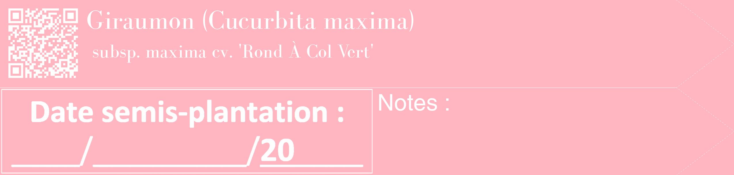 Étiquette de : Cucurbita maxima subsp. maxima cv. 'Rond À Col Vert' - format c - style blanche41_simple_simplebod avec qrcode et comestibilité