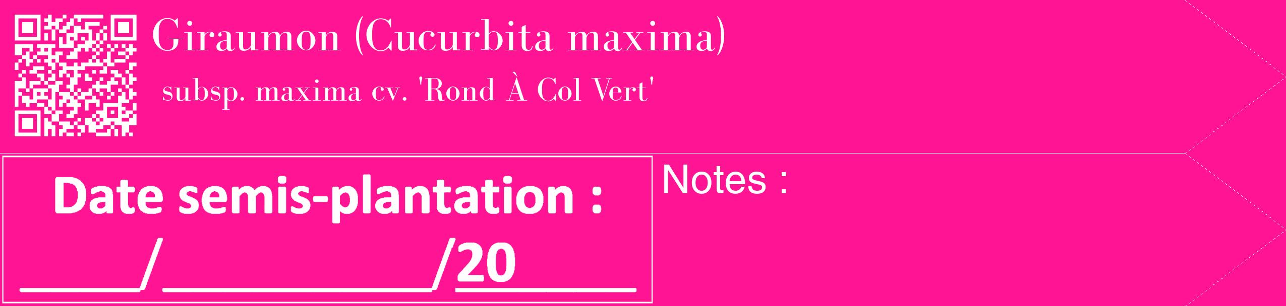 Étiquette de : Cucurbita maxima subsp. maxima cv. 'Rond À Col Vert' - format c - style blanche43_simple_simplebod avec qrcode et comestibilité
