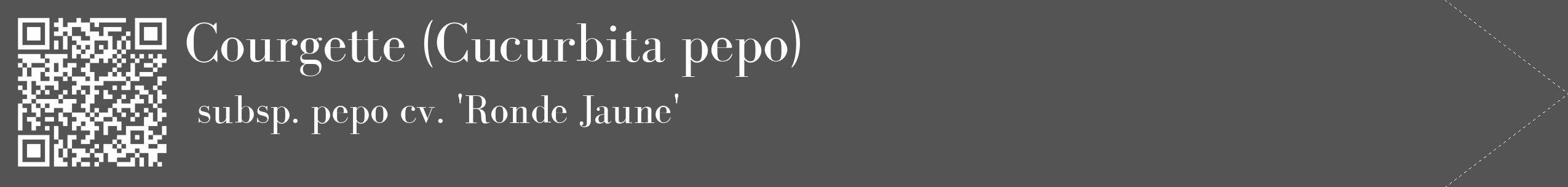 Étiquette de : Cucurbita pepo subsp. pepo cv. 'Ronde Jaune' - format c - style blanche30_simple_simplebod avec qrcode et comestibilité