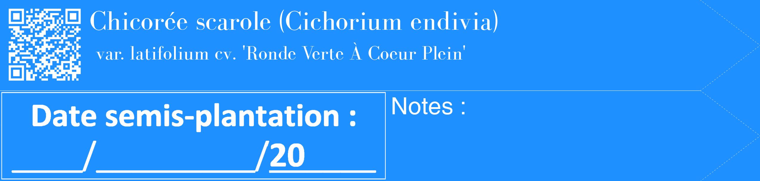 Étiquette de : Cichorium endivia var. latifolium cv. 'Ronde Verte À Coeur Plein' - format c - style blanche3_simple_simplebod avec qrcode et comestibilité