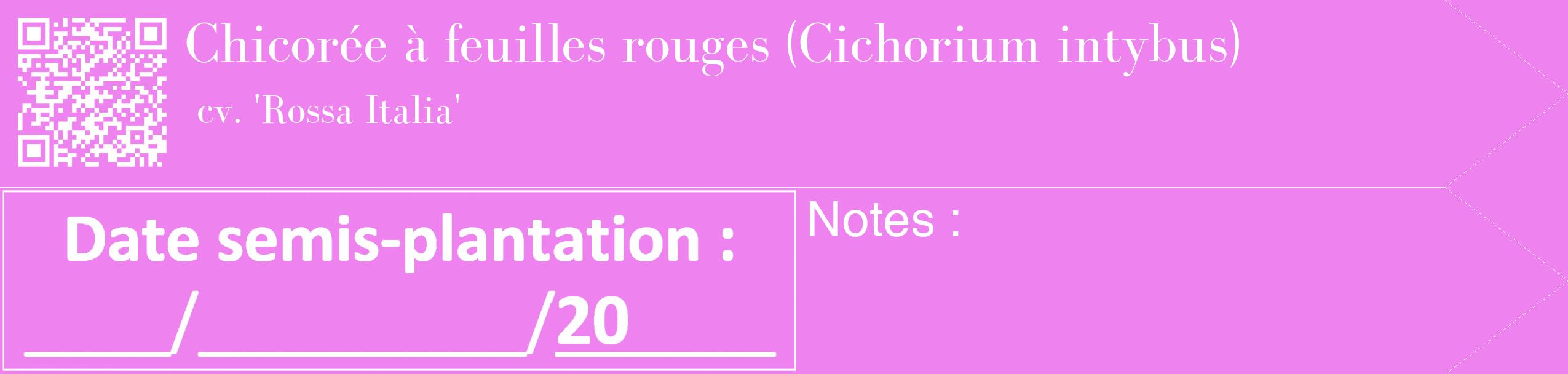 Étiquette de : Cichorium intybus cv. 'Rossa Italia' - format c - style blanche53_simple_simplebod avec qrcode et comestibilité