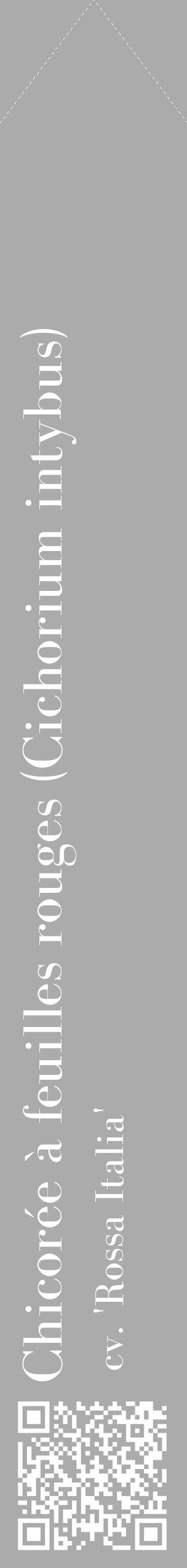Étiquette de : Cichorium intybus cv. 'Rossa Italia' - format c - style blanche37_simple_simplebod avec qrcode et comestibilité - position verticale