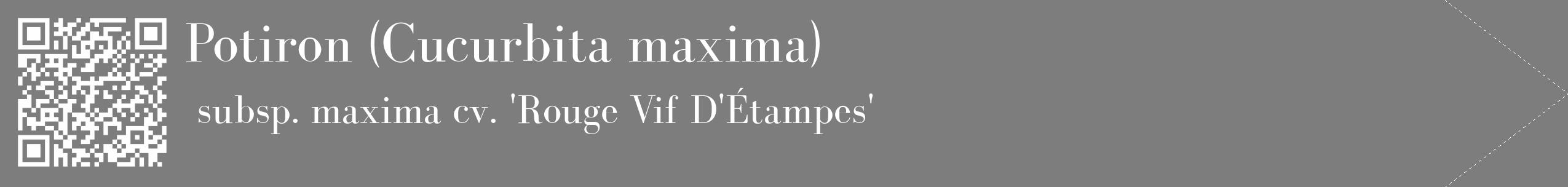 Étiquette de : Cucurbita maxima subsp. maxima cv. 'Rouge Vif D'Étampes' - format c - style blanche35_simple_simplebod avec qrcode et comestibilité
