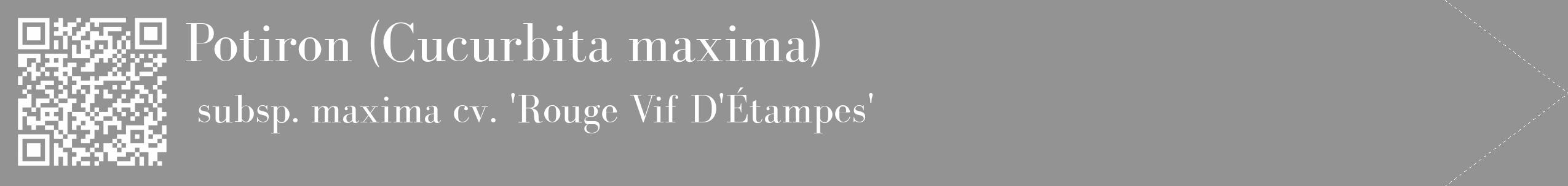 Étiquette de : Cucurbita maxima subsp. maxima cv. 'Rouge Vif D'Étampes' - format c - style blanche44_simple_simplebod avec qrcode et comestibilité