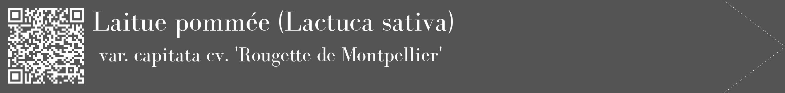 Étiquette de : Lactuca sativa var. capitata cv. 'Rougette de Montpellier' - format c - style blanche30_simple_simplebod avec qrcode et comestibilité