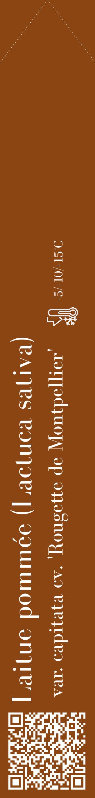 Étiquette de : Lactuca sativa var. capitata cv. 'Rougette de Montpellier' - format c - style blanche30_simple_simplebod avec qrcode et comestibilité - position verticale