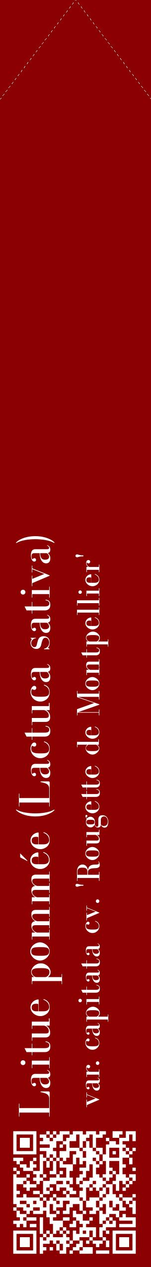 Étiquette de : Lactuca sativa var. capitata cv. 'Rougette de Montpellier' - format c - style blanche34_simplebod avec qrcode et comestibilité