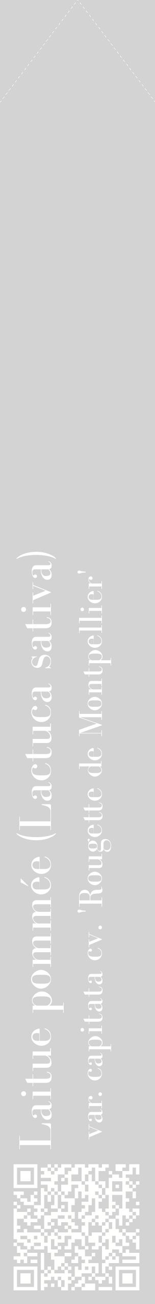 Étiquette de : Lactuca sativa var. capitata cv. 'Rougette de Montpellier' - format c - style blanche56_simplebod avec qrcode et comestibilité