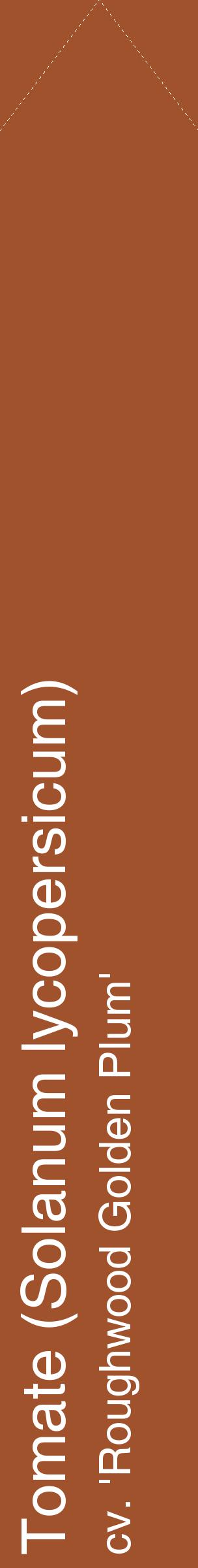 Étiquette de : Solanum lycopersicum cv. 'Roughwood Golden Plum' - format c - style blanche32_simplehel avec comestibilité