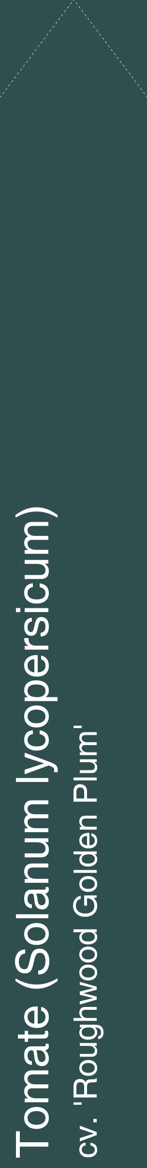 Étiquette de : Solanum lycopersicum cv. 'Roughwood Golden Plum' - format c - style blanche58_simplehel avec comestibilité