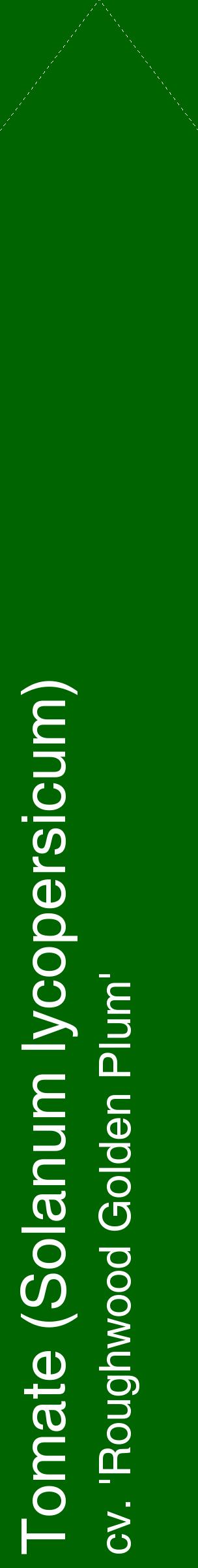 Étiquette de : Solanum lycopersicum cv. 'Roughwood Golden Plum' - format c - style blanche8_simplehel avec comestibilité