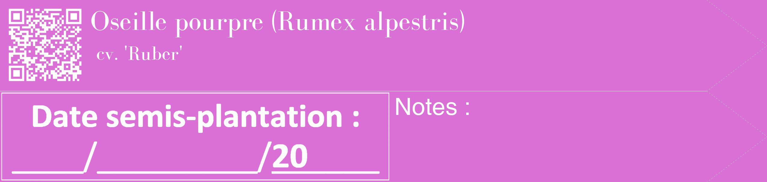 Étiquette de : Rumex alpestris cv. 'Ruber' - format c - style blanche52_simple_simplebod avec qrcode et comestibilité