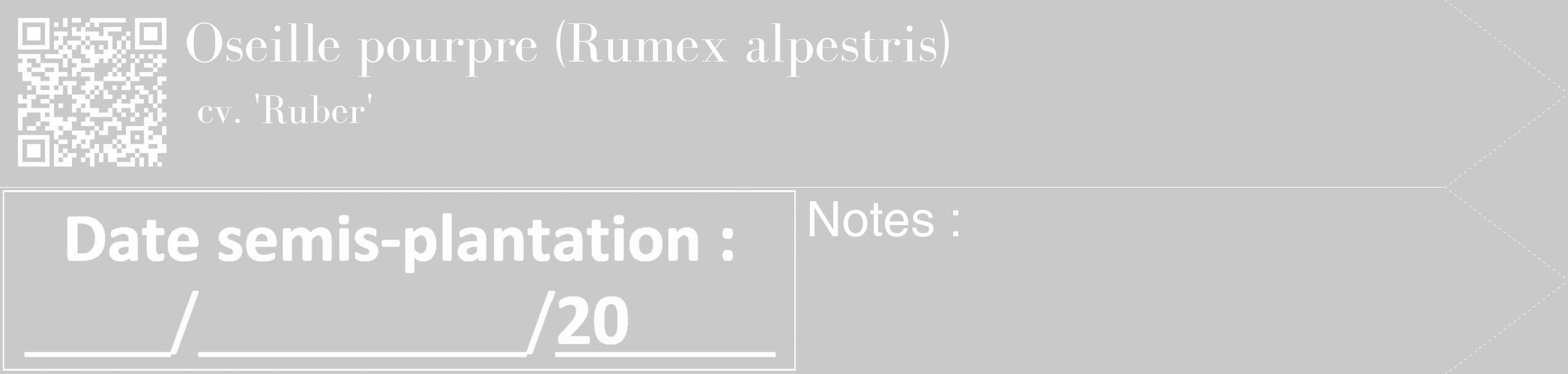 Étiquette de : Rumex alpestris cv. 'Ruber' - format c - style blanche54_simple_simplebod avec qrcode et comestibilité