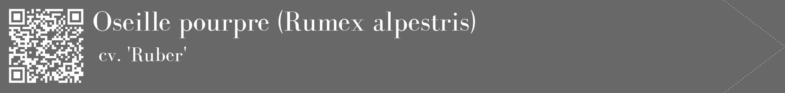 Étiquette de : Rumex alpestris cv. 'Ruber' - format c - style blanche6_simple_simplebod avec qrcode et comestibilité