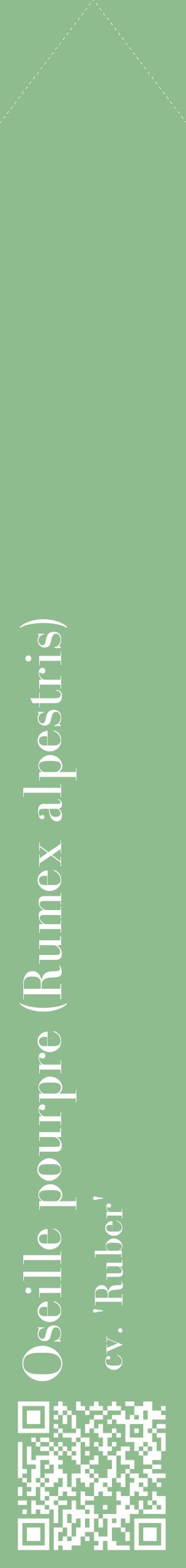 Étiquette de : Rumex alpestris cv. 'Ruber' - format c - style blanche13_simplebod avec qrcode et comestibilité