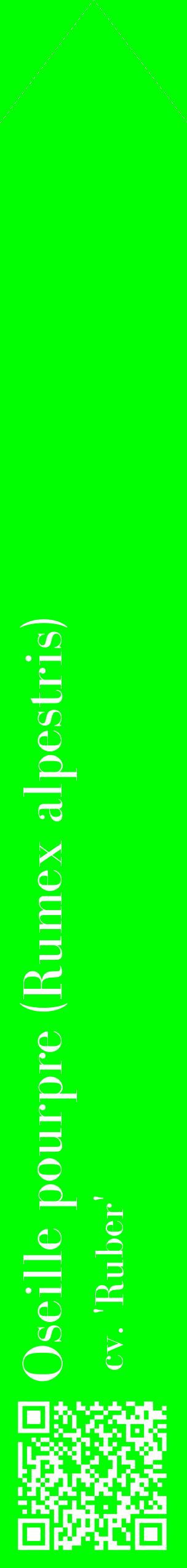 Étiquette de : Rumex alpestris cv. 'Ruber' - format c - style blanche16_simplebod avec qrcode et comestibilité