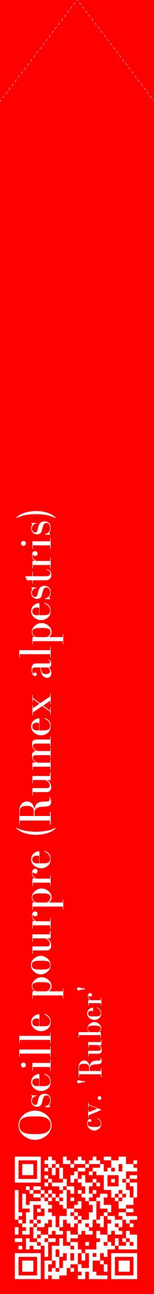 Étiquette de : Rumex alpestris cv. 'Ruber' - format c - style blanche27_simplebod avec qrcode et comestibilité