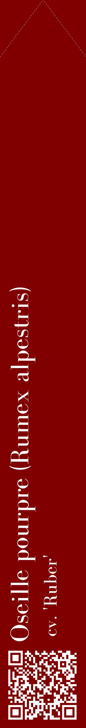Étiquette de : Rumex alpestris cv. 'Ruber' - format c - style blanche29_simplebod avec qrcode et comestibilité