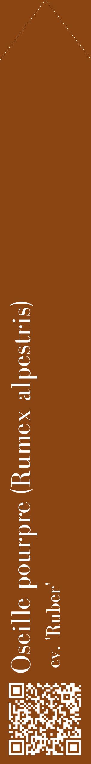 Étiquette de : Rumex alpestris cv. 'Ruber' - format c - style blanche30_simplebod avec qrcode et comestibilité