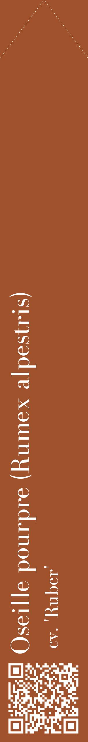 Étiquette de : Rumex alpestris cv. 'Ruber' - format c - style blanche32_simplebod avec qrcode et comestibilité
