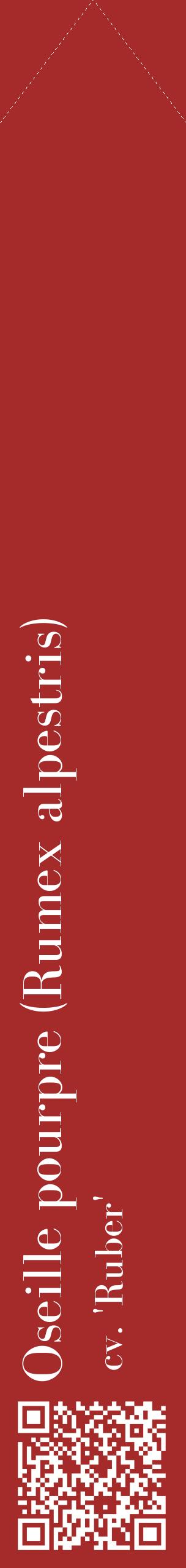 Étiquette de : Rumex alpestris cv. 'Ruber' - format c - style blanche33_simplebod avec qrcode et comestibilité