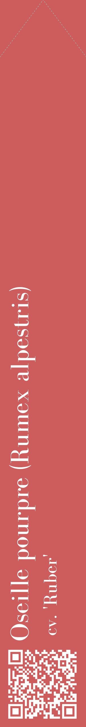 Étiquette de : Rumex alpestris cv. 'Ruber' - format c - style blanche35_simplebod avec qrcode et comestibilité