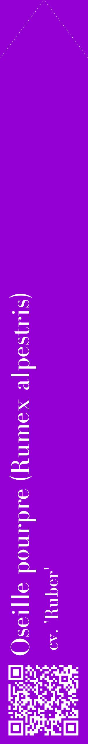 Étiquette de : Rumex alpestris cv. 'Ruber' - format c - style blanche48_simplebod avec qrcode et comestibilité