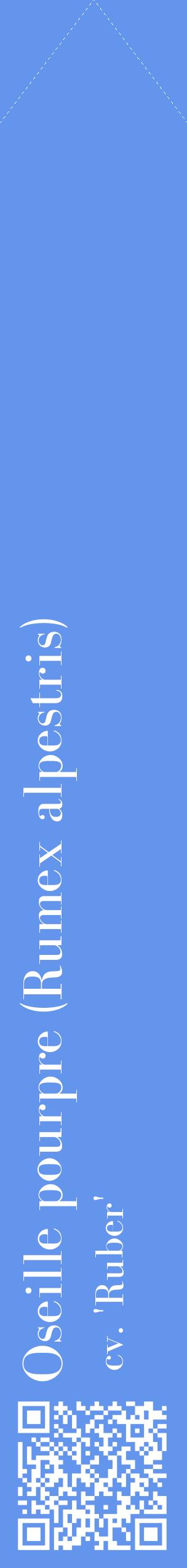 Étiquette de : Rumex alpestris cv. 'Ruber' - format c - style blanche4_simplebod avec qrcode et comestibilité