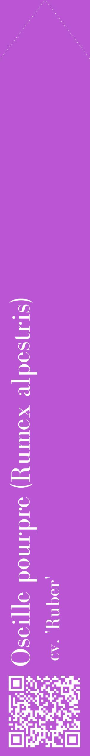 Étiquette de : Rumex alpestris cv. 'Ruber' - format c - style blanche50_simplebod avec qrcode et comestibilité
