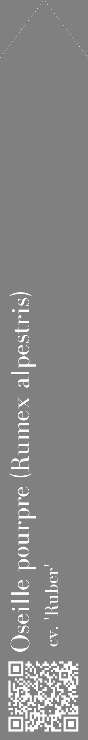 Étiquette de : Rumex alpestris cv. 'Ruber' - format c - style blanche57_simplebod avec qrcode et comestibilité