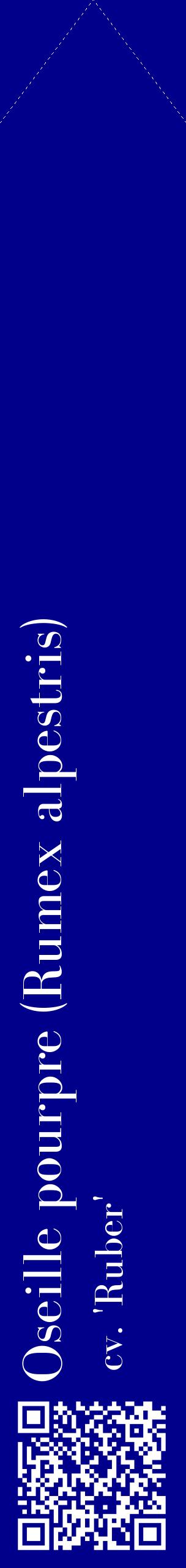 Étiquette de : Rumex alpestris cv. 'Ruber' - format c - style blanche7_simple_simplebod avec qrcode et comestibilité - position verticale