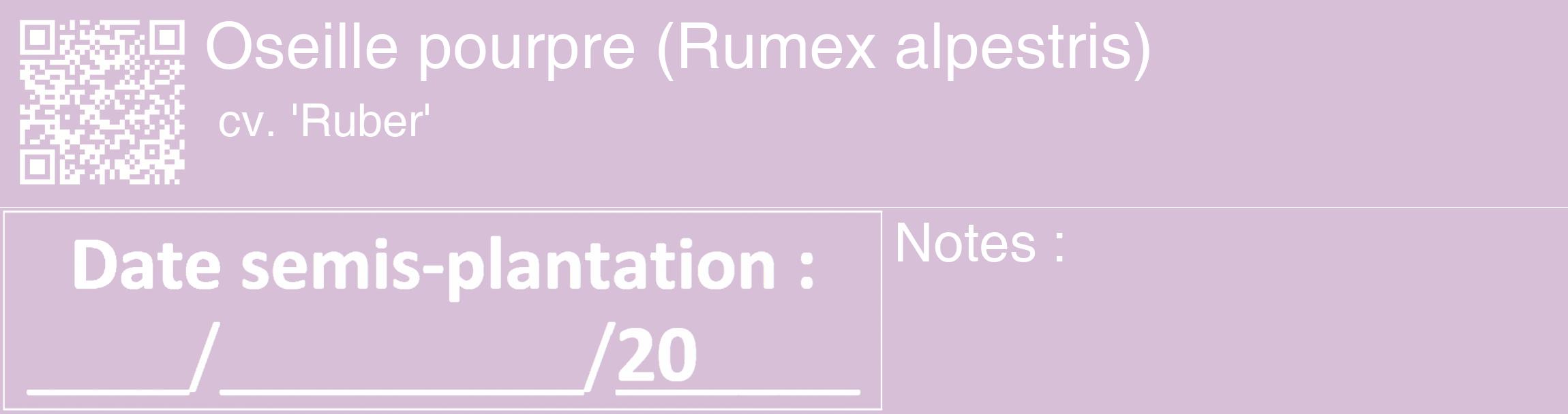 Étiquette de : Rumex alpestris cv. 'Ruber' - format c - style blanche54_basique_basiquehel avec qrcode et comestibilité