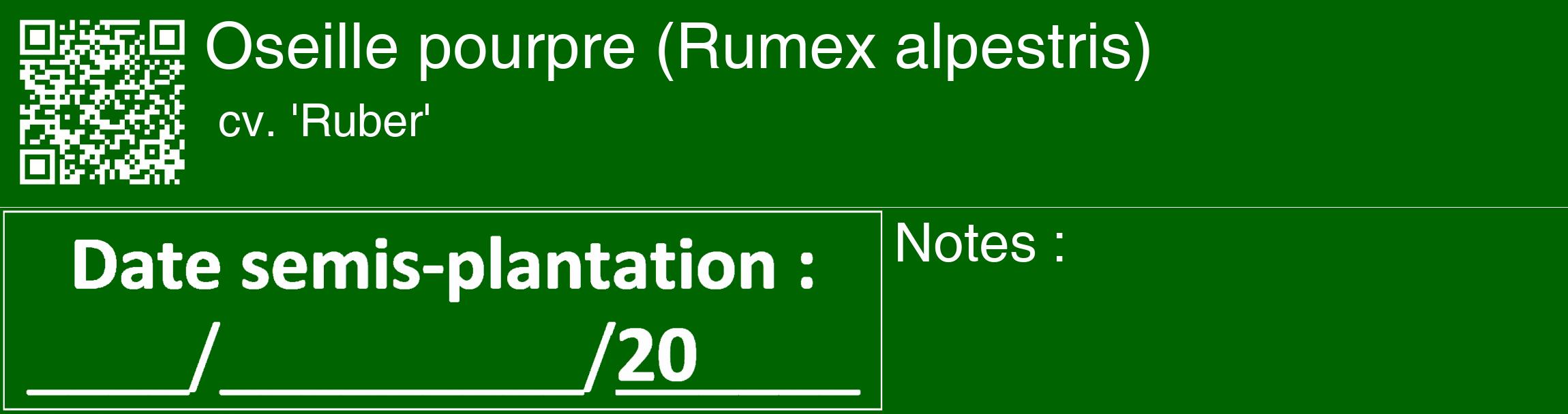 Étiquette de : Rumex alpestris cv. 'Ruber' - format c - style blanche8_basique_basiquehel avec qrcode et comestibilité