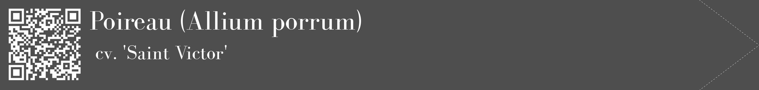 Étiquette de : Allium porrum cv. 'Saint Victor' - format c - style blanche33_simple_simplebod avec qrcode et comestibilité