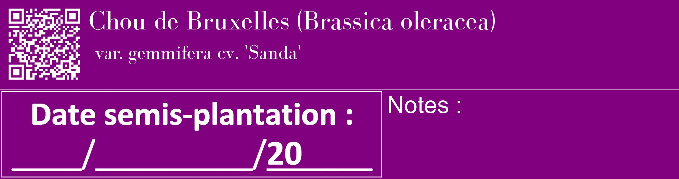 Étiquette de : Brassica oleracea var. gemmifera cv. 'Sanda' - format c - style blanche46_basique_basiquebod avec qrcode et comestibilité