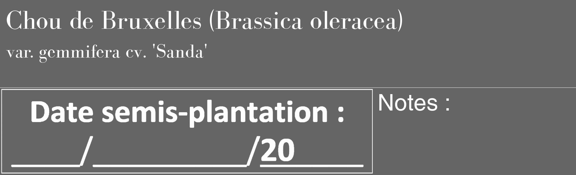 Étiquette de : Brassica oleracea var. gemmifera cv. 'Sanda' - format c - style blanche32_basique_basiquebod avec comestibilité