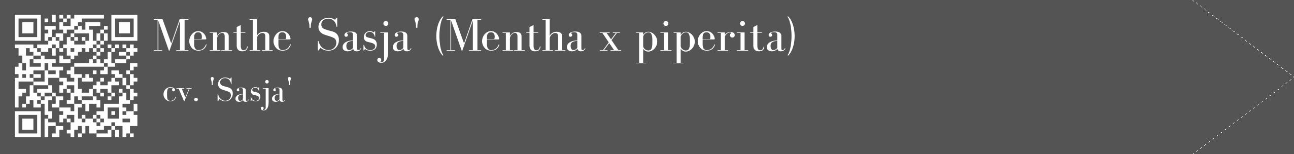 Étiquette de : Mentha x piperita cv. 'Sasja' - format c - style blanche30_simple_simplebod avec qrcode et comestibilité