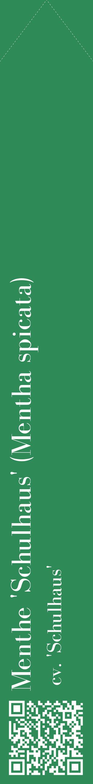 Étiquette de : Mentha spicata cv. 'Schulhaus' - format c - style blanche11_simplebod avec qrcode et comestibilité