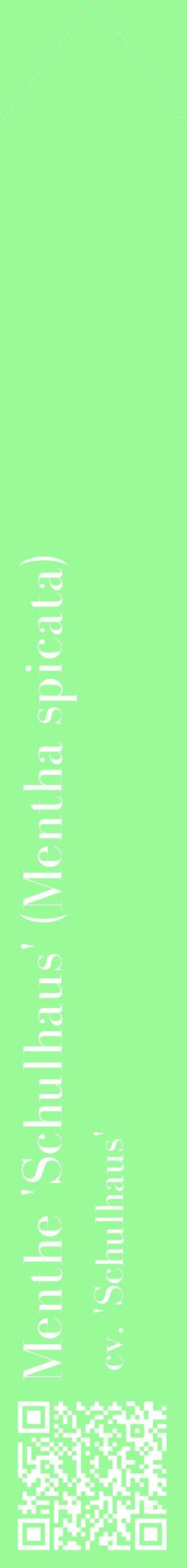 Étiquette de : Mentha spicata cv. 'Schulhaus' - format c - style blanche14_simplebod avec qrcode et comestibilité