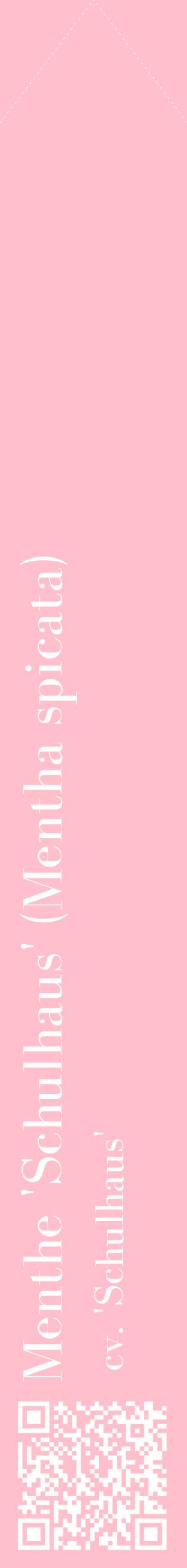 Étiquette de : Mentha spicata cv. 'Schulhaus' - format c - style blanche40_simplebod avec qrcode et comestibilité
