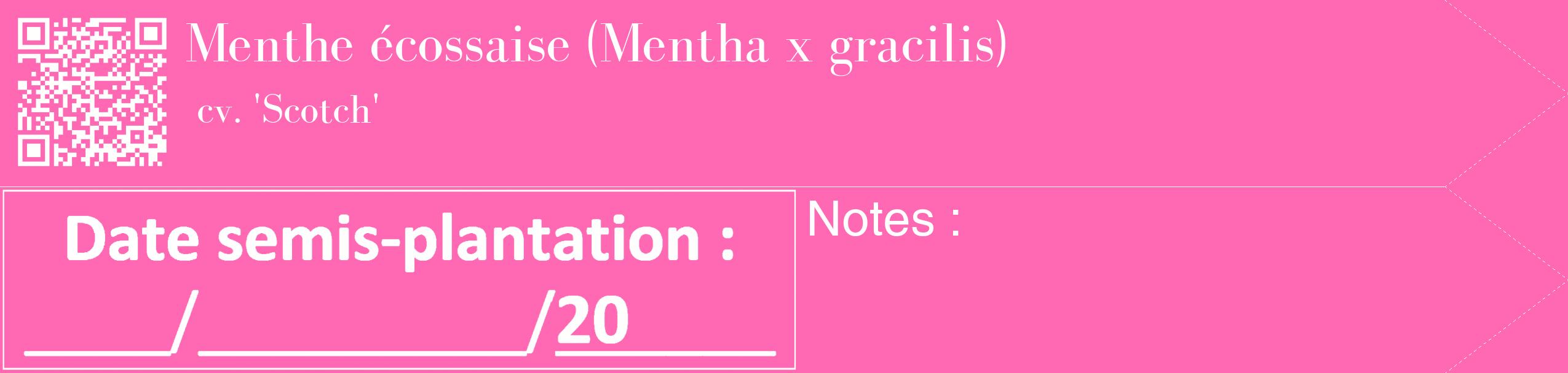 Étiquette de : Mentha x gracilis cv. 'Scotch' - format c - style blanche42_simple_simplebod avec qrcode et comestibilité