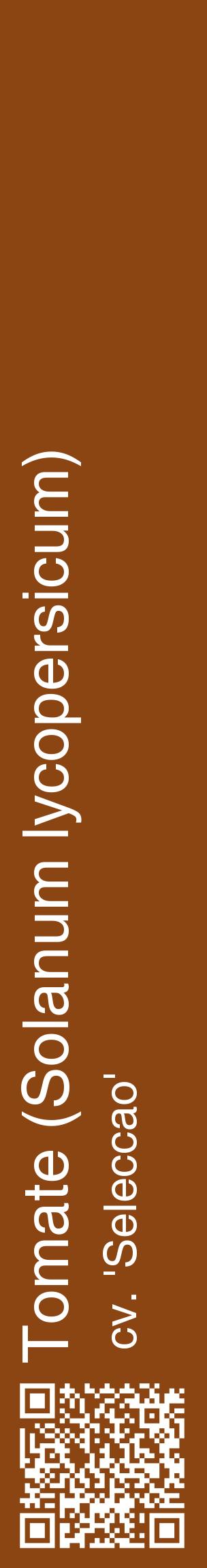 Étiquette de : Solanum lycopersicum cv. 'Seleccao' - format c - style blanche30_basiquehel avec qrcode et comestibilité