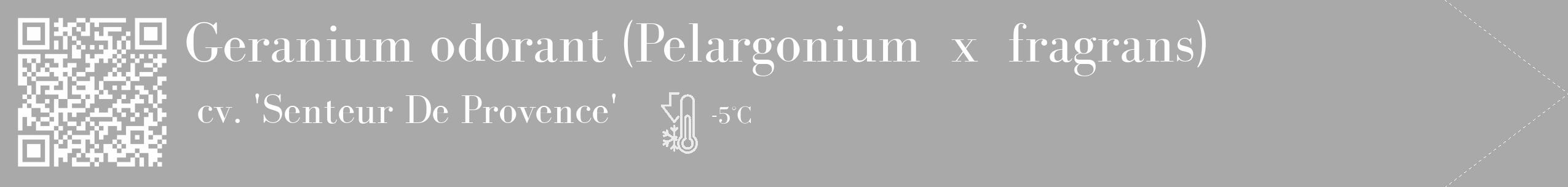Étiquette de : Pelargonium x fragrans cv. 'Senteur De Provence' - format c - style blanche13_simple_simplebod avec qrcode et comestibilité
